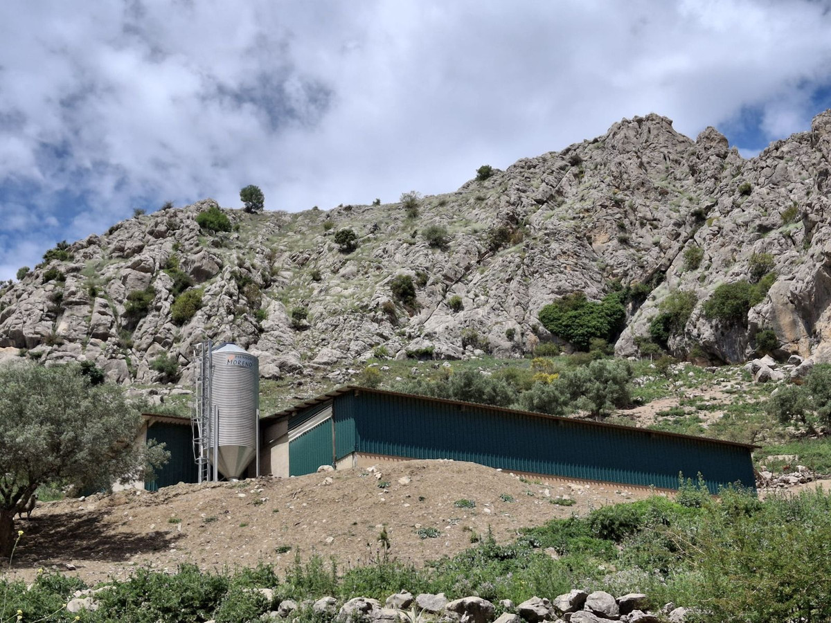 Alfarnatejo